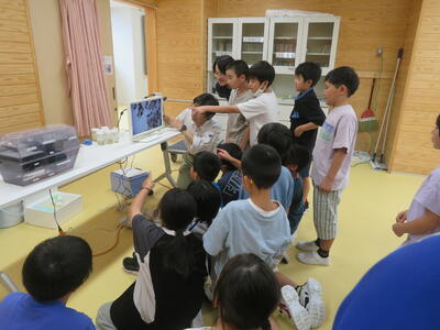 顕微鏡で微生物を見せてもらいました