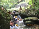 沢遊びを楽しんでいます
