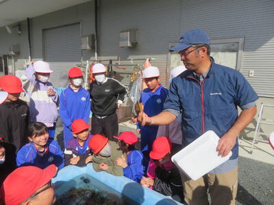 海の生物の生態について、分かりやすく教えていただきました。