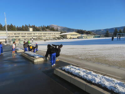 花壇の花の苗も雪に覆われました