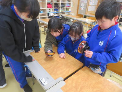 秀衡塗のお椀を手に取って、金箔の模様をよく見ています