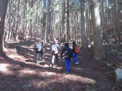 傾斜がきつくほぼ直線の登山道をがんばって登りました