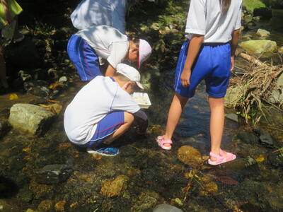 最後に生き物を川にもどしました