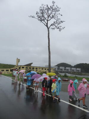 「奇跡の一本松」や旧陸前高田ユースホステルも見学しました